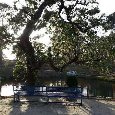 Riverside Resort 兰斯顿 外观 照片