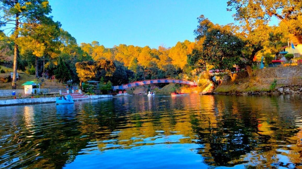 Riverside Resort 兰斯顿 外观 照片