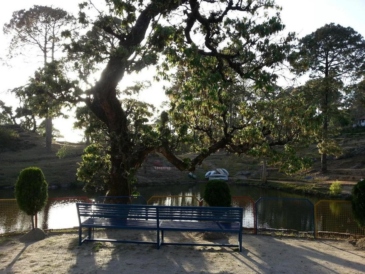 Riverside Resort 兰斯顿 外观 照片